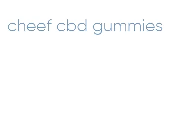 cheef cbd gummies