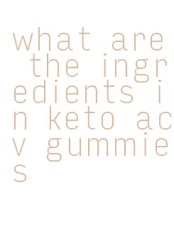 what are the ingredients in keto acv gummies