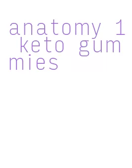 anatomy 1 keto gummies