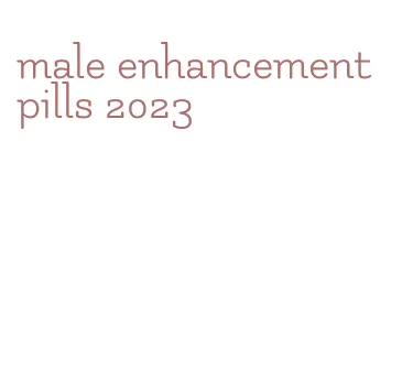 male enhancement pills 2023