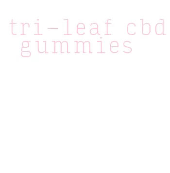 tri-leaf cbd gummies