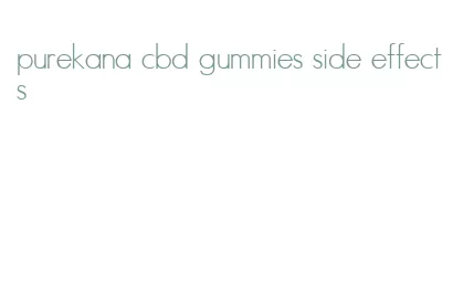 purekana cbd gummies side effects