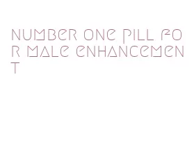 number one pill for male enhancement