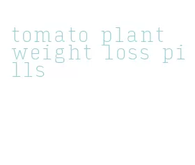 tomato plant weight loss pills