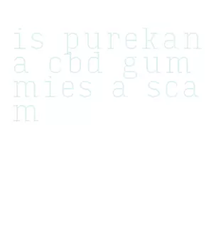 is purekana cbd gummies a scam