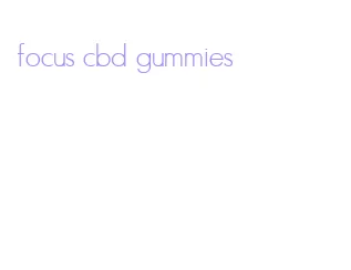 focus cbd gummies