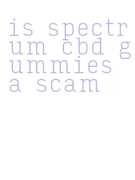 is spectrum cbd gummies a scam