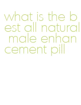what is the best all natural male enhancement pill