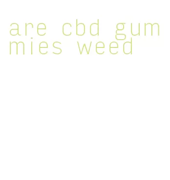 are cbd gummies weed