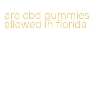 are cbd gummies allowed in florida