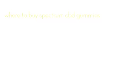 where to buy spectrum cbd gummies