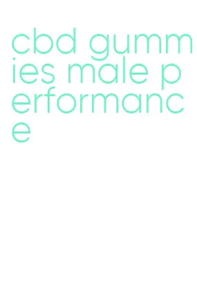 cbd gummies male performance