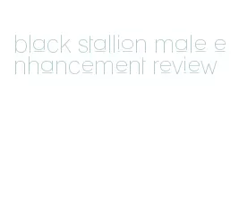 black stallion male enhancement review