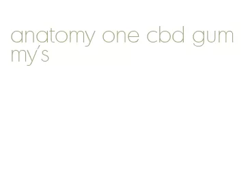 anatomy one cbd gummy's