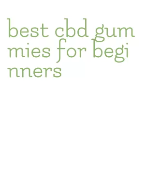 best cbd gummies for beginners