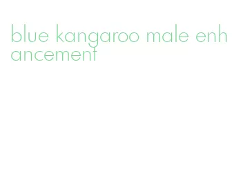 blue kangaroo male enhancement