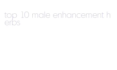 top 10 male enhancement herbs