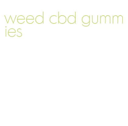 weed cbd gummies