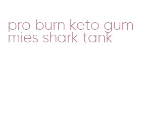 pro burn keto gummies shark tank