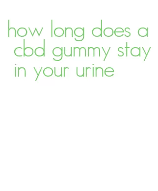 how long does a cbd gummy stay in your urine