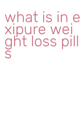 what is in exipure weight loss pills