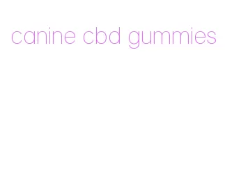 canine cbd gummies