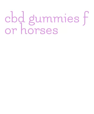 cbd gummies for horses