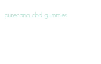 purecana cbd gummies