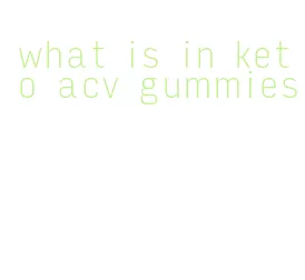 what is in keto acv gummies