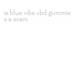 is blue vibe cbd gummies a scam