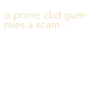 is prime cbd gummies a scam