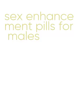 sex enhancement pills for males