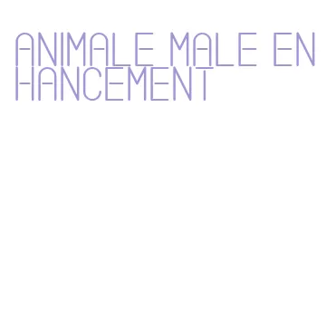 animale male enhancement