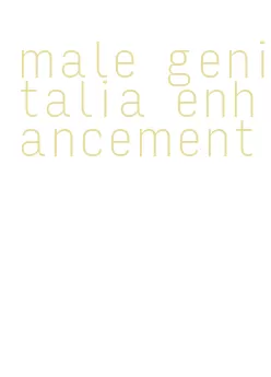 male genitalia enhancement