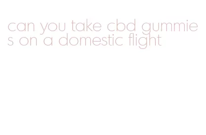 can you take cbd gummies on a domestic flight