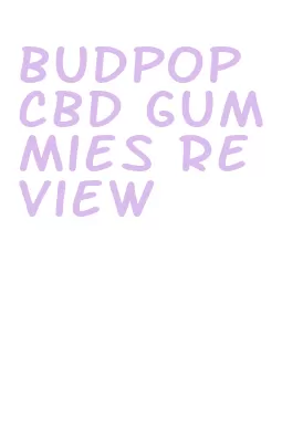 budpop cbd gummies review
