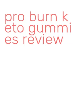 pro burn keto gummies review