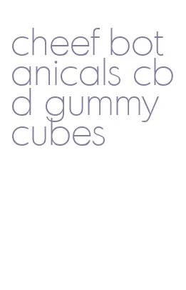 cheef botanicals cbd gummy cubes