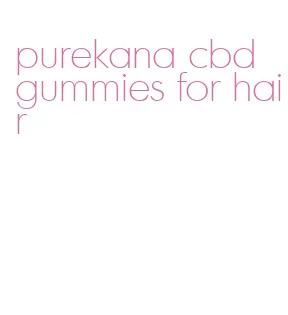 purekana cbd gummies for hair