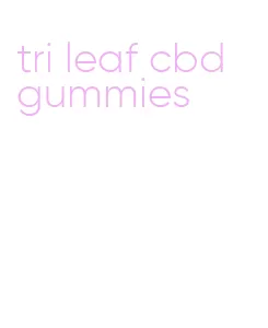 tri leaf cbd gummies
