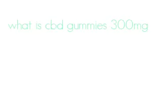 what is cbd gummies 300mg