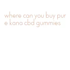 where can you buy pure kana cbd gummies
