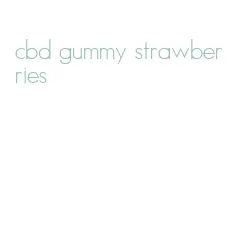 cbd gummy strawberries