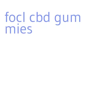 focl cbd gummies