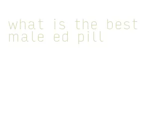what is the best male ed pill