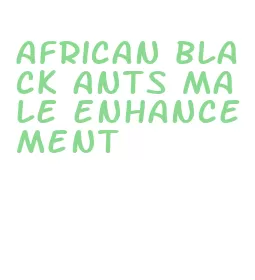 african black ants male enhancement