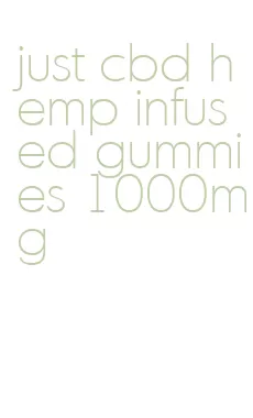 just cbd hemp infused gummies 1000mg