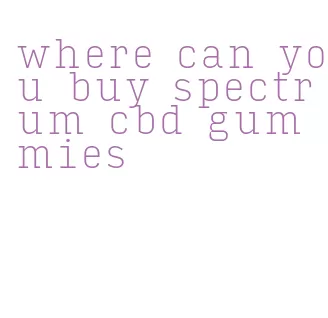 where can you buy spectrum cbd gummies