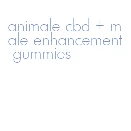 animale cbd + male enhancement gummies