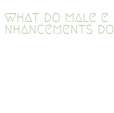 what do male enhancements do